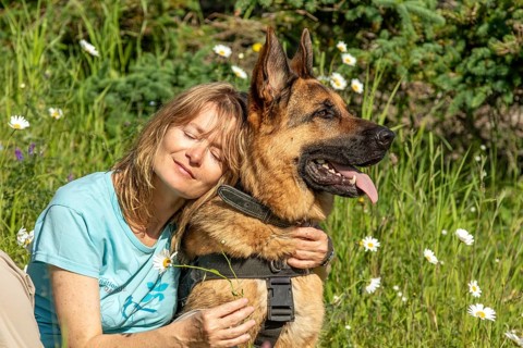 Woman hugging her German Shepherd, Gaspesie Region, Province of Quebec, Canada, North America