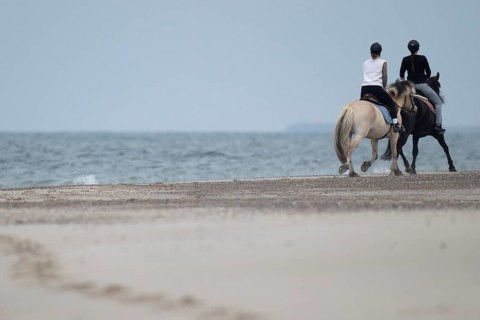 Two riders on the beach, near Hvide Sande, North Sea, Denmark