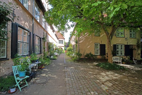Idyllic Füchtingshof with flower decoration, chairs, plants, flowers, backyard, decoration, idyll,