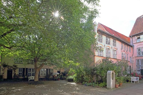 Idyllic Füchtingshof in backlight and flower decoration, plants, flowers, backyard, courtyard,