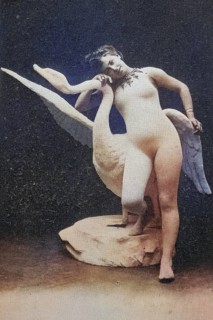 Female nude from around 1899, erotic postcard, playgirl, woman posing nude with swan sculpture in