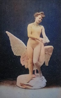 Female nude from around 1899, erotic postcard, Playgirl, A woman stands gracefully next to a swan