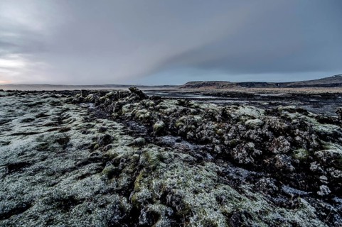 Stones and Moss along the Ring Road, Mountains, Frost, Winter, Cold, Cloudy, Iceland* Stones and
