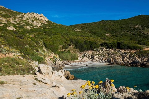 Picturesque hiking trail on the coast, Sentier du littoral, Cap Camarat, Saint Tropez, Var, French