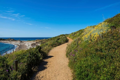 Picturesque hiking trail on the coast, Sentier du littoral, Cap Taillat, Saint Tropez, Var, French