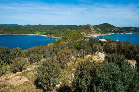 Picturesque hiking trail on the coast, Sentier du littoral, Plage Ranc, Cap Taillat, Saint Tropez,