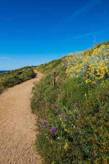 Picturesque hiking trail on the coast, Sentier du littoral, Cap Taillat, Saint Tropez, Var, French