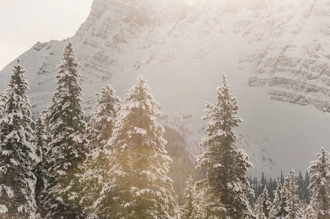 Winter road trip on the Icefields Parkway with lots of snow and ice, Banff National Park, Jasper