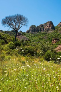 Rocher du roquebrune, Roquebrune-sur-Argens, near Saint-Raphaël, Massif de l'Esterel, Esterel