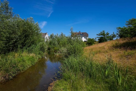 Recklinghausen, North Rhine-Westphalia, Germany - Renaturalised Hellbach, renaturalised