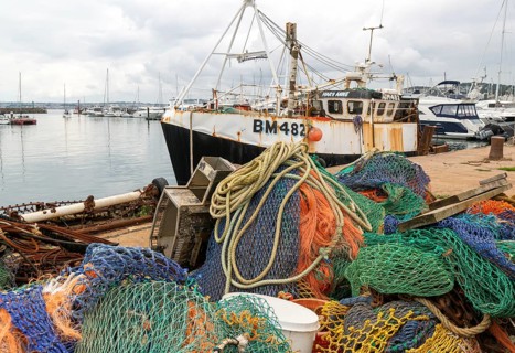 FV Mary Anne BM482 fishing vessel boat in harbour, Torquay, Devon, England, UK