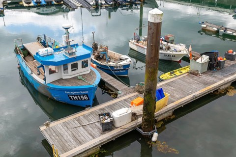 Fishing boats at moorings in harbour, Torquay, Devon, England, UK TH156 'Courageous Spirit'