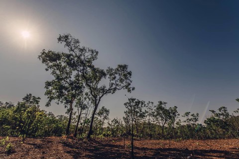Bushfires in the Australian outback