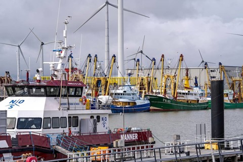 Fishing boats in Beatrixhaven, the seaport of Eemshaven, industrial harbour, at the quay,