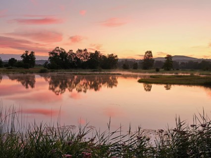 Morning atmosphere at a pond in the Schoren nature reserve, Mühlau, Freiamt, Canton Aargau,
