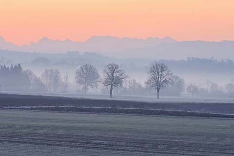 Meadows and trees in the early morning mist in the light of dawn, Reusstal, Aristau, Freiamt,