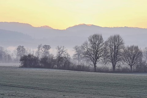 Meadows and trees in the early morning mist in the light of the rising sun, Reusstal, Aristau,