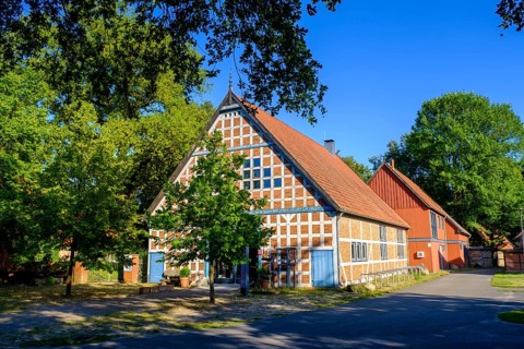 Round village, Lübeln, near Lüchow, Wendland-Elbe nature park Park, Lower Saxony, Germany
