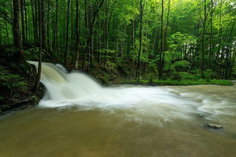 Roaring Weißbach after summer rain near Inzell