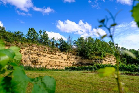 Weinheimer Trift natural monument, near Alzey, Rhine-Hesse region, Rhineland-Palatinate, Germany