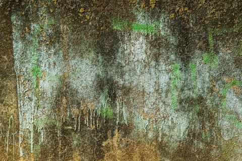 A textured wall displays layers of peeling blue and brown paint, interspersed with patches of green