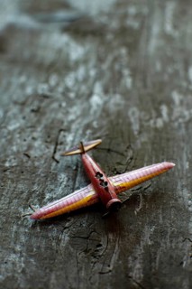 A miniature airplane rests on a rustic wooden surface, emphasizing the detailed craftsmanship and