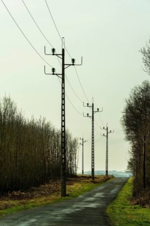 Tall power lines line a narrow, secluded road surrounded by bare trees. The overcast sky creates a