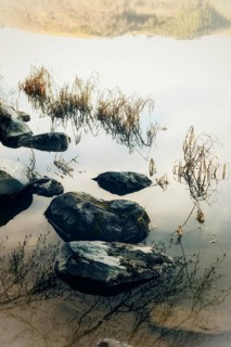 Calm waters mirror the smooth stones and delicate grass at the lakeside, creating a peaceful