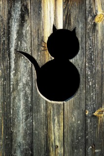 A black cat silhouette is cut into a rustic wooden panel featuring intricate grain textures. The