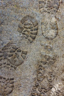 Fresh footprints are visible on a sandy trail, suggesting recent human activity in a natural