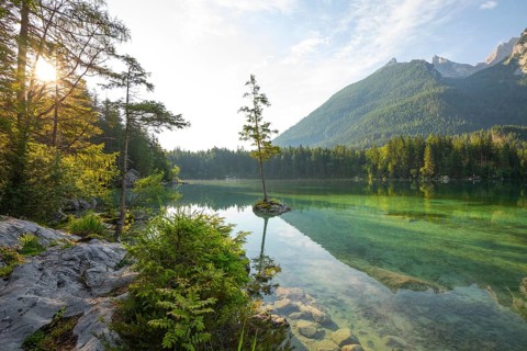Summer morning at Hintersee near Ramsau in Berchtesgadener Land with sun star and reflection. The