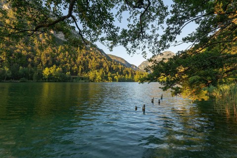 Sunrise in summer at Lake Thumsee near Bad Reichenhall