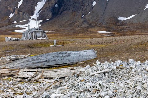 Broken wooden boat in front of hunting hut, wooden hut, bones of white whale (Delphinapterus