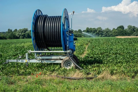 Agriculture, artificial irrigation of a field, irrigation system, sugar beet cultivation, Ystad