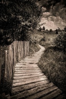 A winding wooden path leads through lush greenery, framed by a rustic wooden fence. The sky is