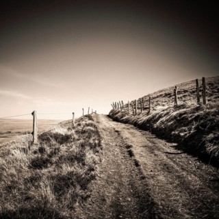 A dirt path leads through the tranquil countryside of Cezallier, with rolling hills and wooden