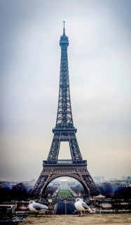 Eiffel Tower looms majestically against a gray sky in Paris, with seagulls resting nearby. The