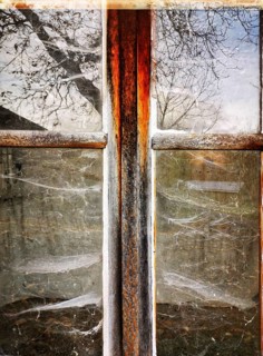A vintage window frame reveals a rustic view, with dusty glass reflecting trees and capturing