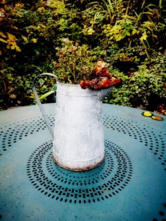 A weathered metal watering can holds dried flowers, placed on a turquoise table with intricate