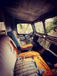 An abandoned truck interior shows worn-out seats and a dusty dashboard, surrounded by creeping