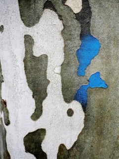 Close-up view of an urban wall features a textured surface with shades of gray and white, accented