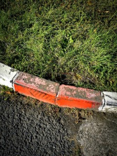 A weathered curb with patches of faded orange paint meets a vibrant patch of grass, blending urban