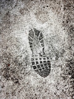 A distinct shoe print is marked on a wet surface, showing details of the tread pattern. Surrounding