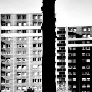 Residential buildings rise prominently in a cityscape, with a tall tree casting a striking