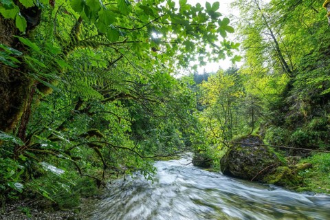 Wild and romantic Weißbach Gorge near Inzell