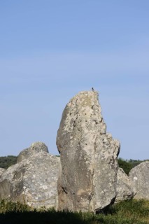 Megalithe, Alignements du Menec, Carnac, Department of Morbihan, Brittany, France