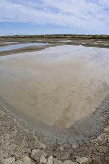 Seawater salt pans, Guerande, Loire-Atlantique, Pays de la Loire, Brittany, France
