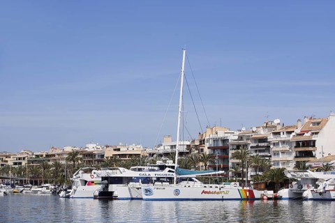 Boats in the harbour, Port d'Alcudia, Majorca, Balearic Islands, Spain