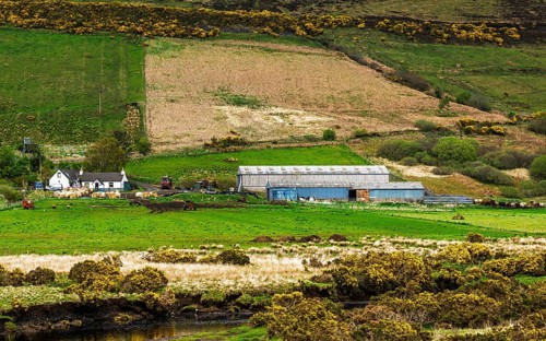 Farms over Loch Harport, Drynoch, Isle of Skye, Scotland, UK