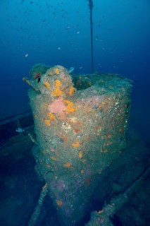 Rotten structure of a shipwreck overgrown with marine organisms. Dive site wreck Ville de Grasse,